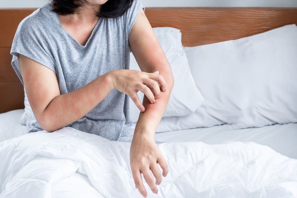 Pourquoi les punaises de lit sont-elles si difficiles à éradiquer ?