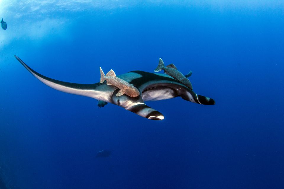 Les plus beaux sites naturels du Mexique inscrits à l’UNESCO